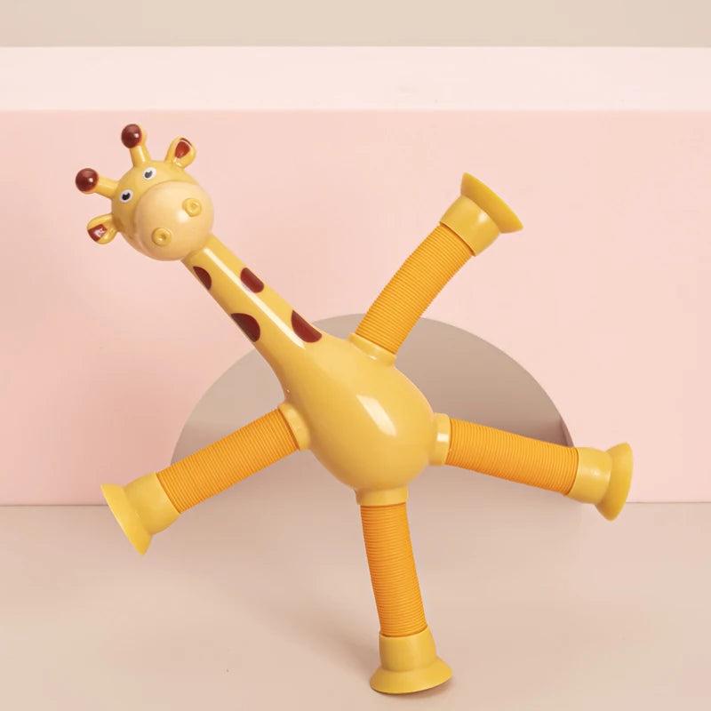 Girafa ventosa - Giraffe